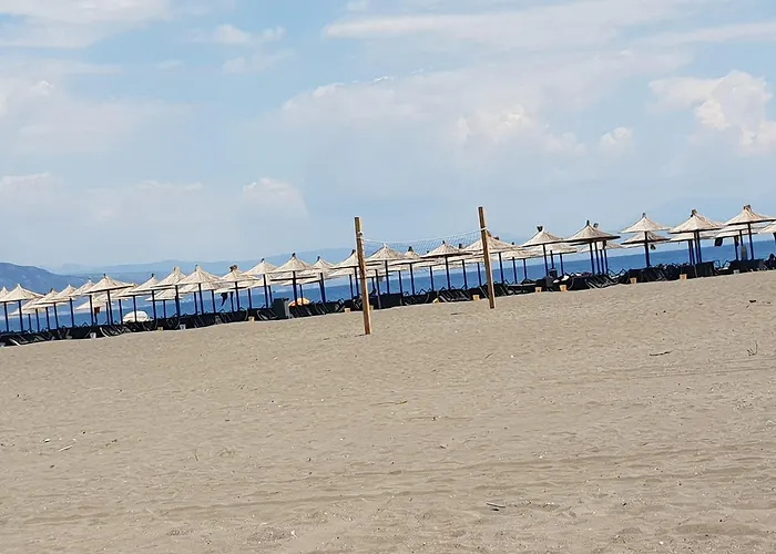 호텔 Brian Velipojë